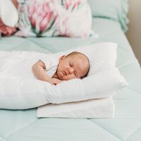 NurtureOne™ Rectangle Wedge